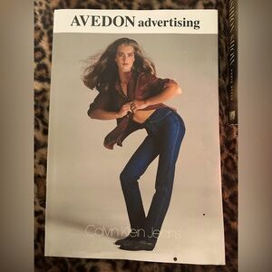 Avedon advertising book